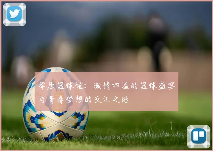 莽原篮球馆：激情四溢的篮球盛宴与青春梦想的交汇之地