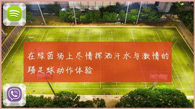 在绿茵场上尽情挥洒汗水与激情的踢足球动作体验