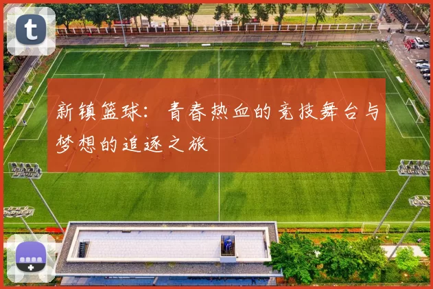 新镇篮球：青春热血的竞技舞台与梦想的追逐之旅