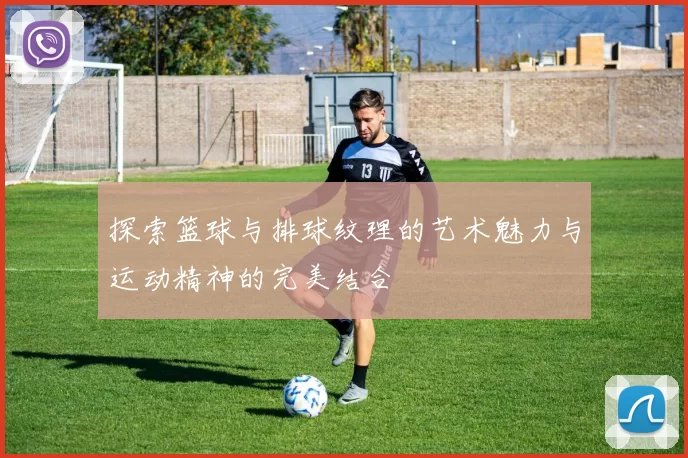 探索篮球与排球纹理的艺术魅力与运动精神的完美结合