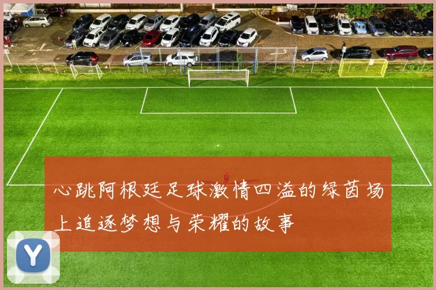 心跳阿根廷足球激情四溢的绿茵场上追逐梦想与荣耀的故事